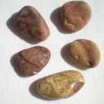 Mediterranean Beach Pebble..