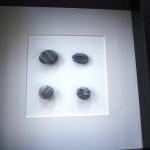 Beach pebbles collections