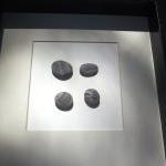 Beach pebbles collections
