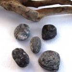 Smooth rocks.5 Great pebble..
