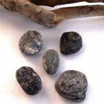 Smooth rocks.5 Great pebble..